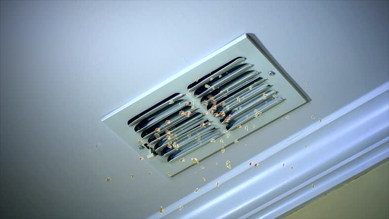 Best Air Duct Cleaning Near Me  in Holdenville, OK