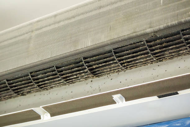 Best HVAC Air Duct Cleaning  in Holdenville, OK